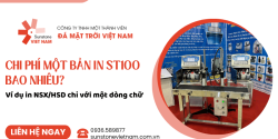 Chi phí một bản in ST100 bao nhiêu? Ví dụ in NSX/HSD chỉ với một dòng chữ