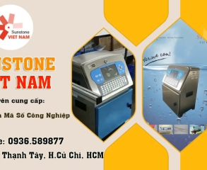 Hình ảnh 3