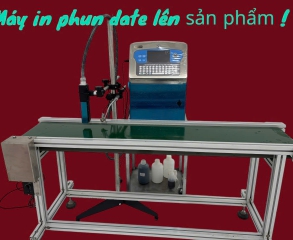 Hình ảnh 5