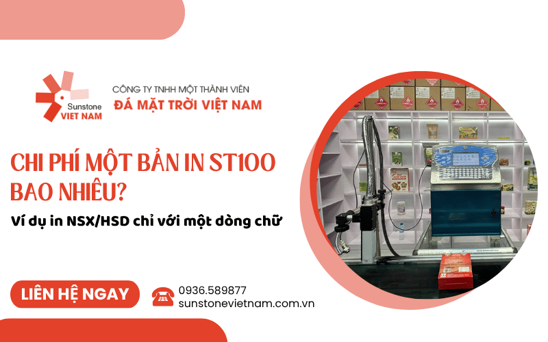 chi phí in ST100