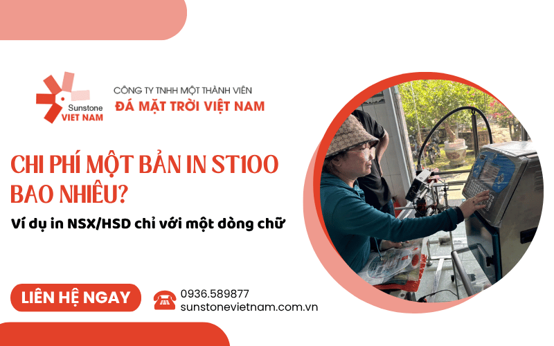 chi phí in ST100